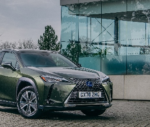 Lexus UX 300e, Oliwkowy