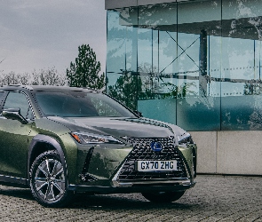 Oliwkowy, Lexus UX 300e