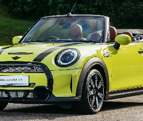 Żółty, Kabriolet, Mini Cooper S