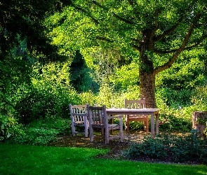 Krzesła, Stół, Ogród, Drzewa