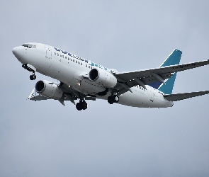 Samolot pasażerski, Boeing 737, Lot, Linia lotnicza, WestJet, Kanadyjska