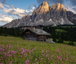 Dom, Łąka, Włochy, Góry, Góra Peitlerkofel, Włochy, Drzewa, Południowy Tyrol, Chmury, Przełęcz Wurzjoch, Las