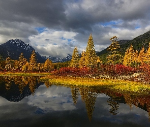 Jesień, Magadan, Roślinność, Rosja, Kołyma, Drzewa, Góry Kołymskie, Jezioro Nevidimka, Chmury