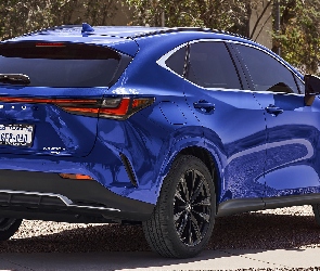 Lexus NX, Hybryda