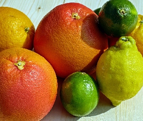 Limonki, Cytryna, Cytrusy, Pomarańcze