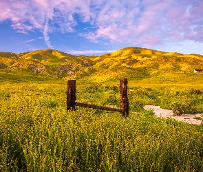Wzgórza, Kalifornia, Rezerwat przyrody, Stany Zjednoczone, Carrizo Plain National Monument, Ogrodzenie, Góry, Łąka, Kwiaty