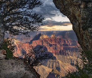 Arizona, Drzewa, Grand Canyon, Stany Zjednoczone, Skały, Kanion, Park Narodowy Wielkiego Kanionu