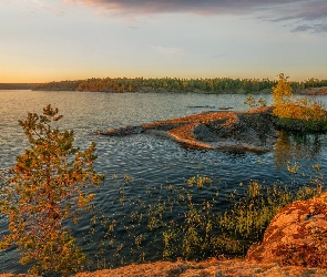 Rosja, Karelia, Drzewa, Jesień, Zachód słońca, Jezioro Ładoga