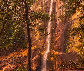 Wodospad, Sosny, Skała, Drzewa, Kalifornia, Vernal Fall, Stany Zjednoczone, Park Narodowy Yosemite