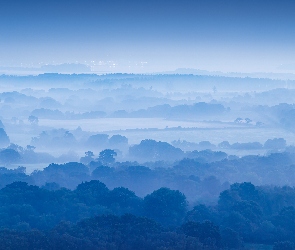 Hrabstwo Dorset, Mgła, Drzewa, Pola, Anglia