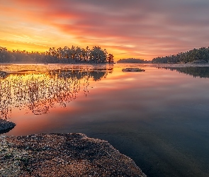 Szwecja, Zachód słońca, Wetter Lake, Jezioro, Las, Drzewa