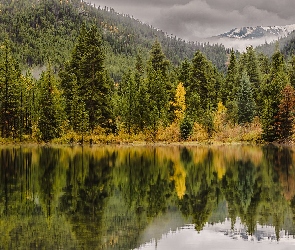 Góry Skaliste, Jezioro, Jesień, Drzewa, Kolorado, Las, Stany Zjednoczone, Officers Gulch Pond