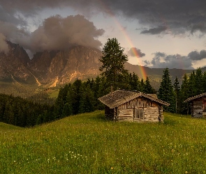 Góra Peitlerkofel, Szopa, Góry, Drzewa, Południowy Tyrol, Dolomity, Włochy, Tęcza Chmury