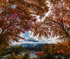 Jesień, Wyspa Honsiu, Chmury, Japonia, Jesień, Lake Kawaguchi, Drzewa, Góra Fudżi, Jezioro