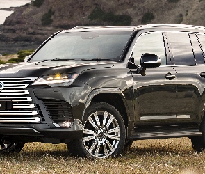 Czarny, Lexus LX 600