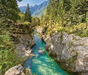 Rzeka Socza, Drzewa, Skały, Wąwóz, Słowenia