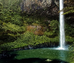 Bridal Veil Falls, Nowa Zelandia, Rośliny, Skały, Wodospad