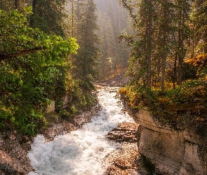 Park Narodowy Jasper, Maligne Canyon, Rzeka, Kanada, Drzewa, Skały, Maligne River