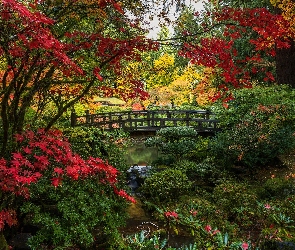Ogród japoński, Oregon, Portland Japanese Garden, Stany Zjednoczone, Portland, Jesień, Drzewa, Krzewy, Mostek