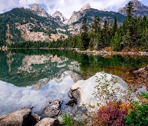 Kamienie, Las, Park Narodowy Grand Teton, Jezioro, Drzewa, Odbicie, Wyoming, Chmury, Bradley Lake, Stany Zjednoczone, Góry