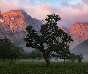 Góry Karwendel, Tyrol, Mgła, Austria, Chmury, Klony, Dolina, Płaskowyż Ahornboden, Drzewa
