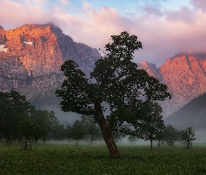 Góry Karwendel, Tyrol, Mgła, Austria, Chmury, Klony, Dolina, Płaskowyż Ahornboden, Drzewa