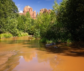 Stany Zjednoczone, Arizona, Drzewa, Rzeka, Góry, Red Rock State Park