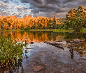 Kolorado, Spraque Lake, Stany Zjednoczone, Jezioro, Kamienie, Park Narodowy Gór Skalistych, Wschód słońca, Drzewa