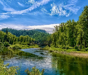 Railroad Bridge, Most, Idaho, Drzewa, St Joe River, Stany Zjednoczone, Rzeka