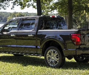 Ford F-150 Platinum