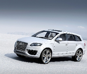 Audi Q7, Szyberdach