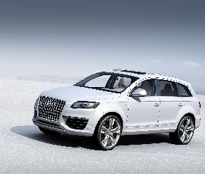 Szyberdach, Audi Q7