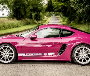 Porsche 718 Cayman Style Edition, Bok