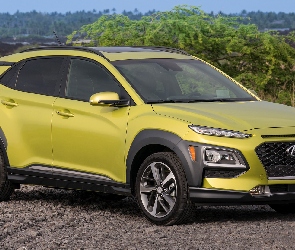 Żółty, Hyundai Kona