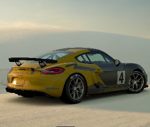 Gran Turismo Sport, Porsche Cayman GT4, Gra