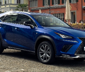 Lexus NX F Sport, 2018