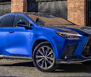 Lexus NX F Sport, Niebieski