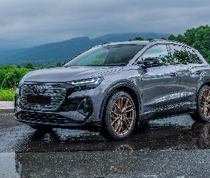 Audi Q4 40 e-Tron