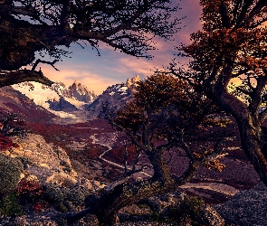 Patagonia, Park Narodowy Los Glaciares, Argentyna, Andy, Droga, Góry, Jesień, Drzewa