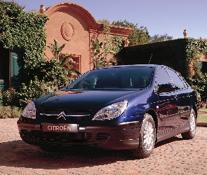 Granatowy, Citroen C5