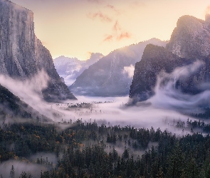 Las, Yosemite Valley, Góry, Mgła, 
Kalifornia, Opadająca, Stany Zjednoczone, Park Narodowy Yosemite