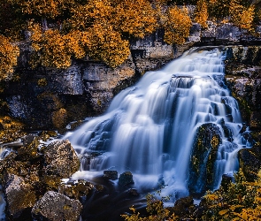 Kanada, Pożółkłe, Jesień, Liście, Drzewa, Skały, Ontario, Inglis Falls, Wodospad