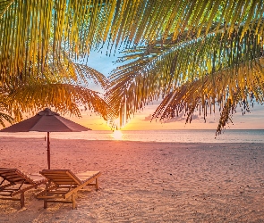 Parasol, Leżaki, Morze, Zachód słońca, Palmy, Malediwy, Plaża