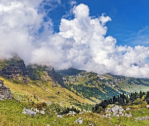 Drzewa, Klausenpass, Skały, Przełęcz, Alpy Glarneńskie, Chmury, Szwajcaria, Góry