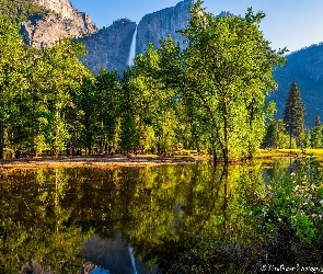 Rzeka, Wodospad, Kalifornia, Drzewa, Góry, Stany Zjednoczone, Park Narodowy Yosemite