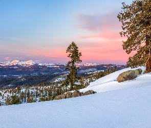 Kalifornia, Kamienie, Niebo, Stany Zjednoczone, Sierra Nevada, Zima, Wzgórze, Carson Pass, Śnieg, Drzewa, Las, Góry