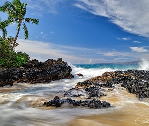 Skały, Palmy, Hawaje, Plaża, Morze, Stany Zjednoczone, Maui