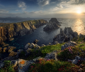 Morze, Trawy, Zachód słońca, Kwiaty, Przylądek Malin Head, Skały, Irlandia, Hrabstwo Donegal