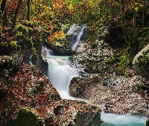 Triglavski Park Narodowy, Rzeka, Kamienie, Słowenia, Drzewa, Las, Skały
