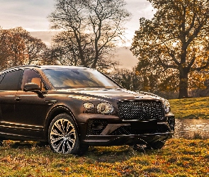 Bentley Bentayga Outdoor Pursuits, 2021